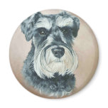 Alfie - miniature schnauzer magnet