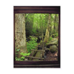 Alfred Reagan's Mill Postcards
