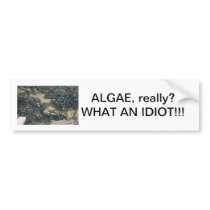 Algae our saviour bumper sticker