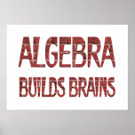 Algebra Builds Brains Poster
