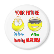 Algebra Future Fridge Magnets