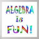 Algebra is Fun - Starting at $11.80 posters