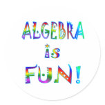 Algebra is Fun Stickers