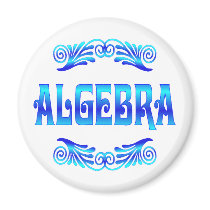 ALGEBRA REFRIGERATOR MAGNETS