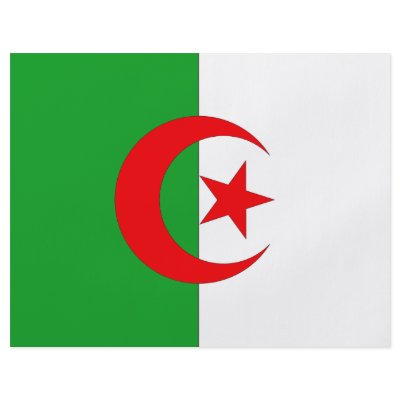 Algeria Flag Flyer Design by flagshirts