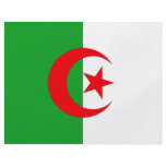 Algeria Flag flyers