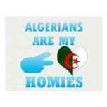 Algerians are my Homies Postcards