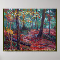algonquin park ontario print