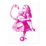 Alice and Flamingo Inked Pink Postcard