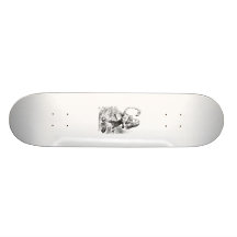 Alice and the Flamingo Skateboard Decks