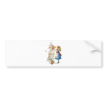 ALICE AND THE WHITE QUEEN BUMPER STICKERS