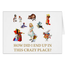 Alice asks, How Didi I End Up In This Crazy Place?