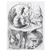 Alice consults The Caterpillar Flyers
