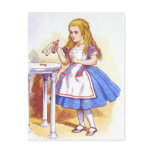 Alice Drinks Colour