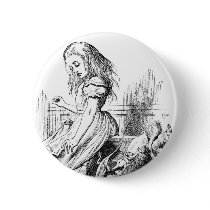Alice Gives Evidence Buttons