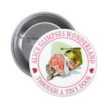Alice glimpses Wonderland through a tiny door! Pin