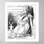 Alice grown big print