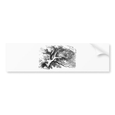 Alice in Wonderland: Cheshire Cat Bumper Stickers by jerseyskimmilk