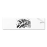 Alice in Wonderland: Cheshire Cat bumper stickers