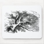 Alice in Wonderland: Cheshire Cat Mouse Pad
