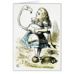 Alice in Wonderland: Flamingo Cards