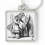 Alice in Wonderland  Small Door to Wonderland Keychains