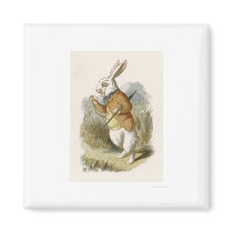 Alice in Wonderland: White Rabbit in Colour