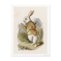 Alice in Wonderland: White Rabbit in Colour