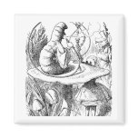 Alice in Wonderland: Who are You? Caterpillar Refrigerator Magnets