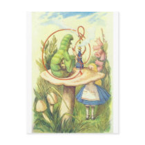 Alice Meets the Caterpillar