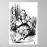 Alice with the Pig Posters