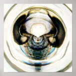 Alien Attractors 1.4 posters