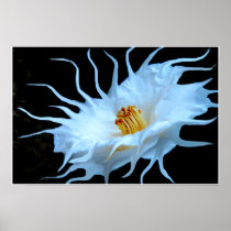 Alien Flower Poster