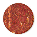 Alien Orange Magnets