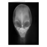 Alien X-ray Greeting Cards