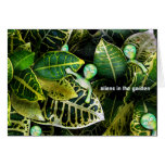 aLiEnS In The Garden! Cards
