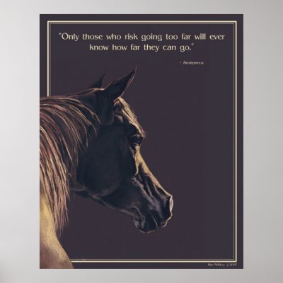 Alight Poster by fyrelyte