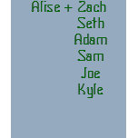 Alise   Zach           Seth           Adam     ... t-shirts