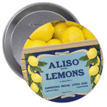 Aliso Lemons in a Crate Pin
