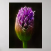 Alium Posterdrucke
