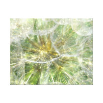 Alium Sparkle Gallery Wrap Canvas