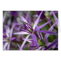aliums greeting card