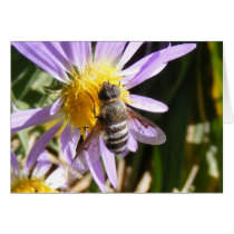 All a Buzz Cards
