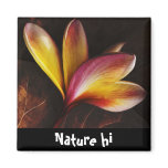all about me magnet