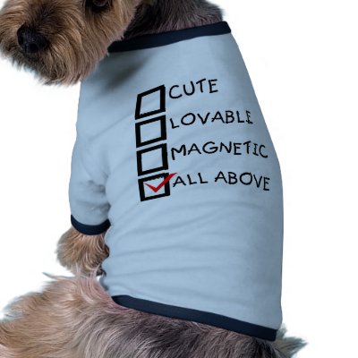 ALL ABOVE PET TSHIRT by forromance