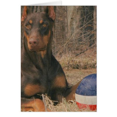ALL AMERICAN PROTECTION AGENCY GREETING CARD by wolfmountainstudio