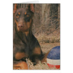 ALL AMERICAN PROTECTION AGENCY cards