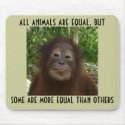 All Animals Are Equal mousepads