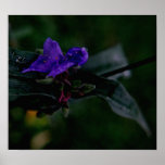 All Caught Up In You Print