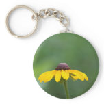 all clear key chain